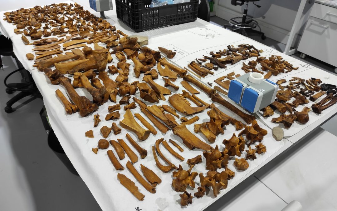 La Xunta colabora en los trabajos arqueológicos de Sálvora que descubren un yacimiento romano en A Illa