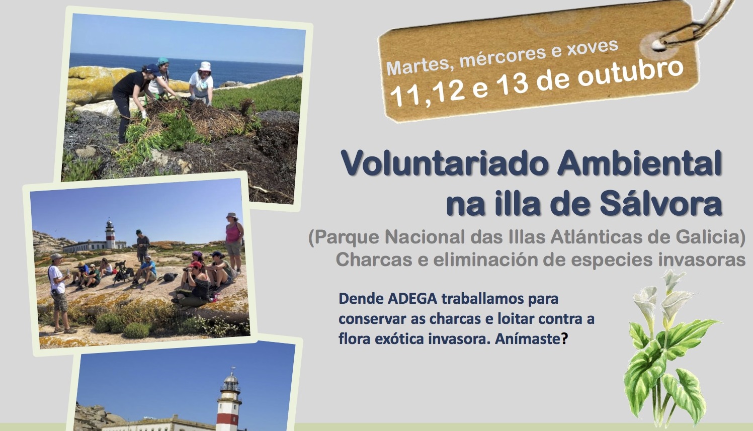Voluntariado ambiental na illa de Sálvora con ADEGA