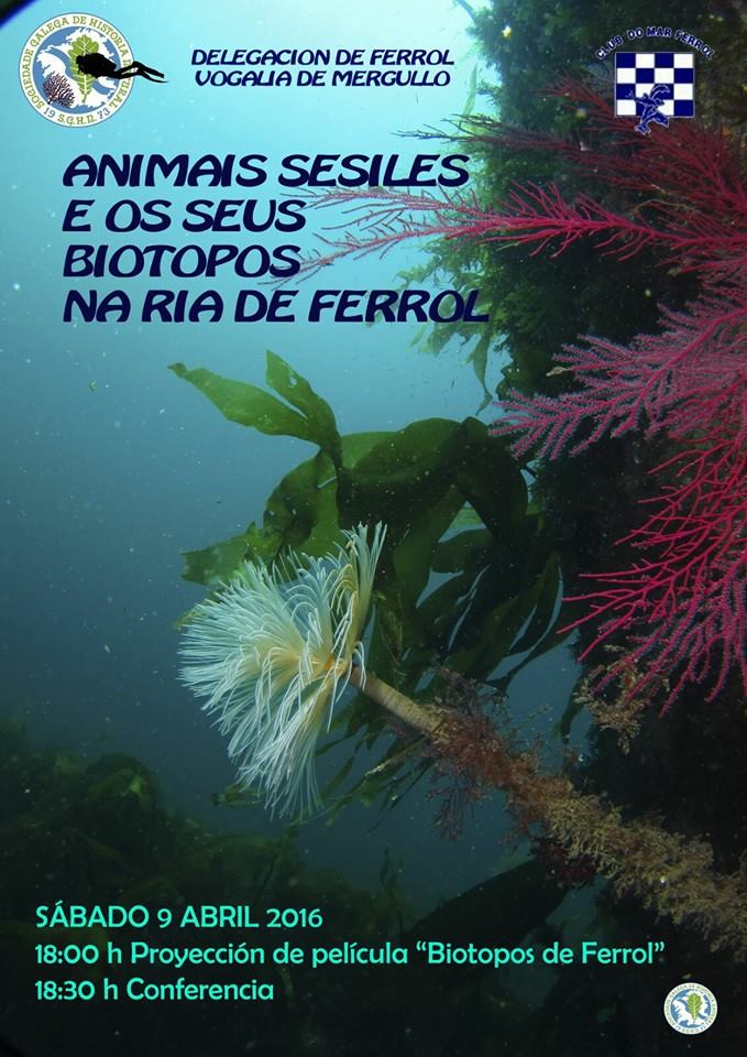 Animales sesiles y sus biotopos en la ría de Ferrol