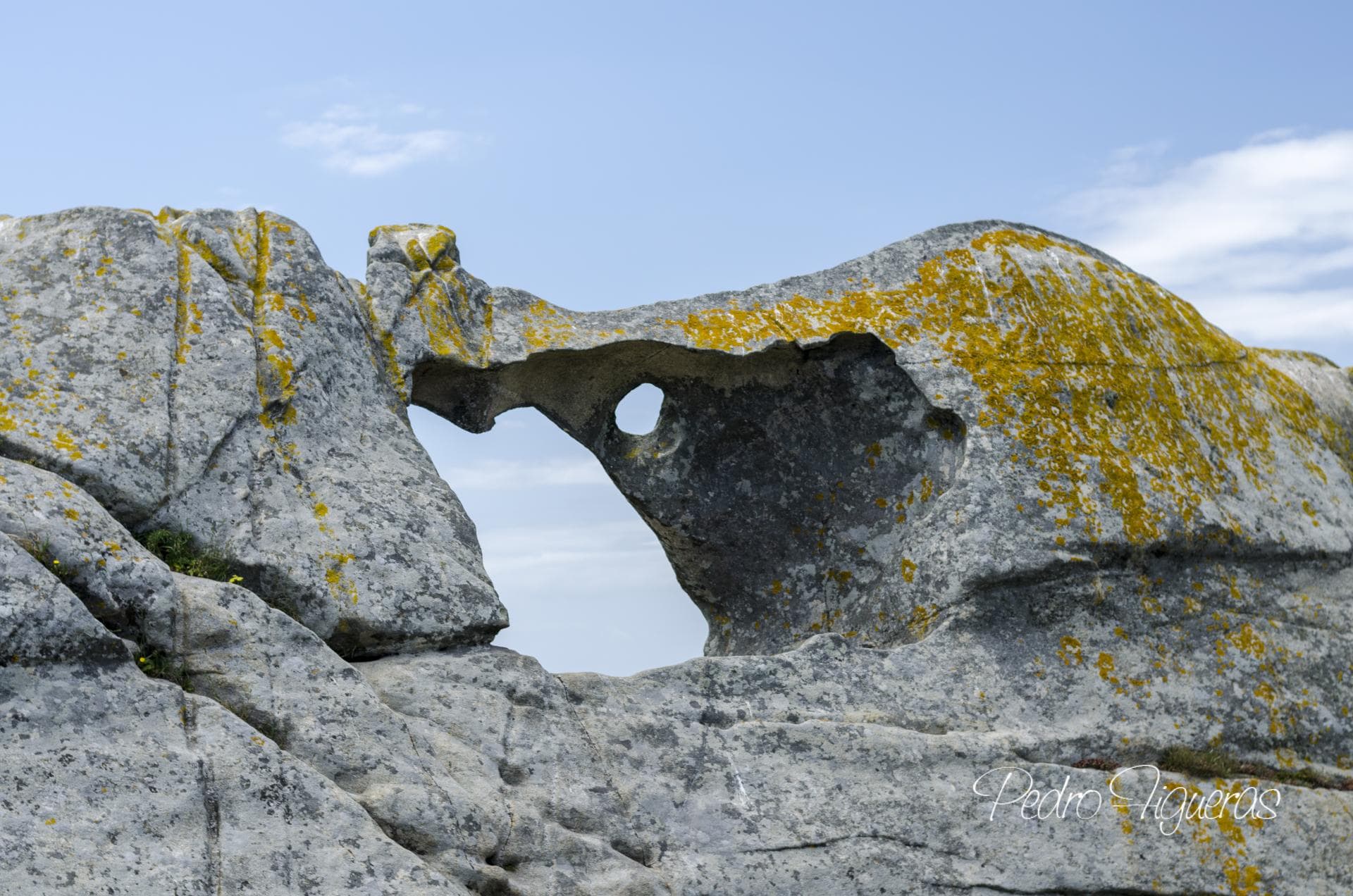 Nos granitos das zonas altas de Cíes atopamos marcas de micromodelado xerando formas moi caprichosas