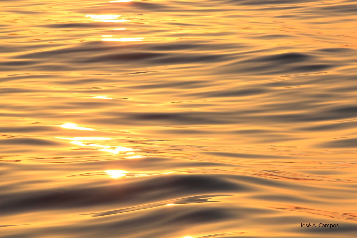 Cando o sol se agocha as augas do océano Atlántico tórnanse douradas